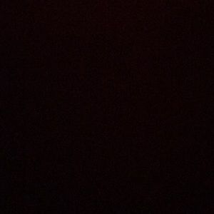 Meet your Posher, Donald